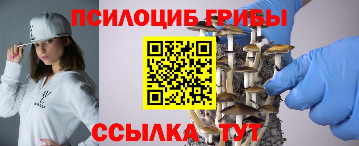 Тосно  Галлюциногенные грибы Psilocybine cubensis  Псилоцибиновые грибы Cubensis  Вход с VPN 